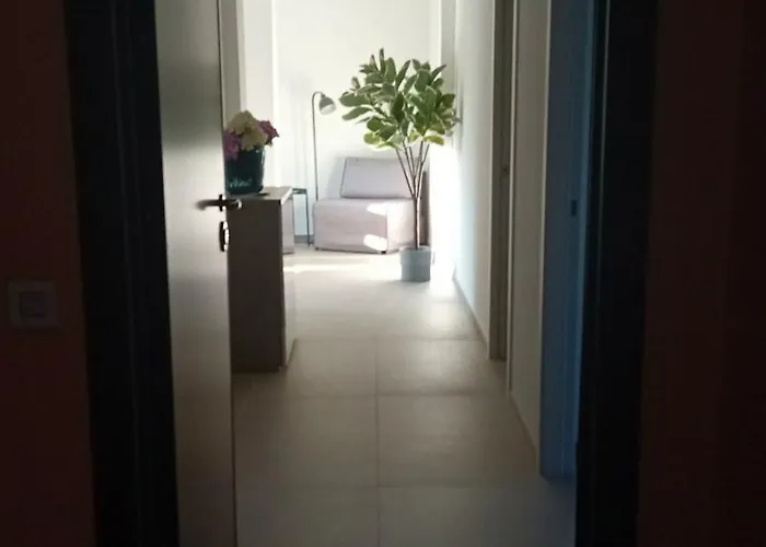 Apartament Oasi *